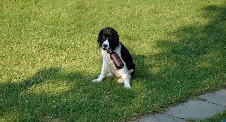 Nicky summer 2006 00113